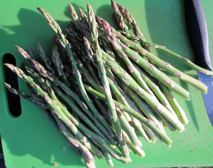 Spring Asparagus